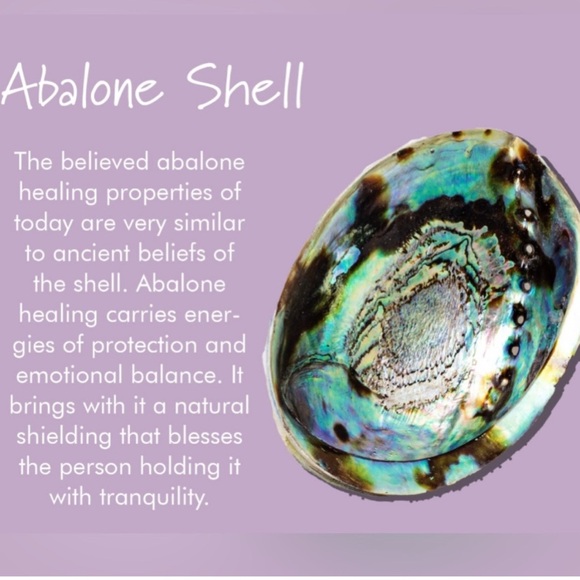 Abalone Shell - Picture 2 of 3